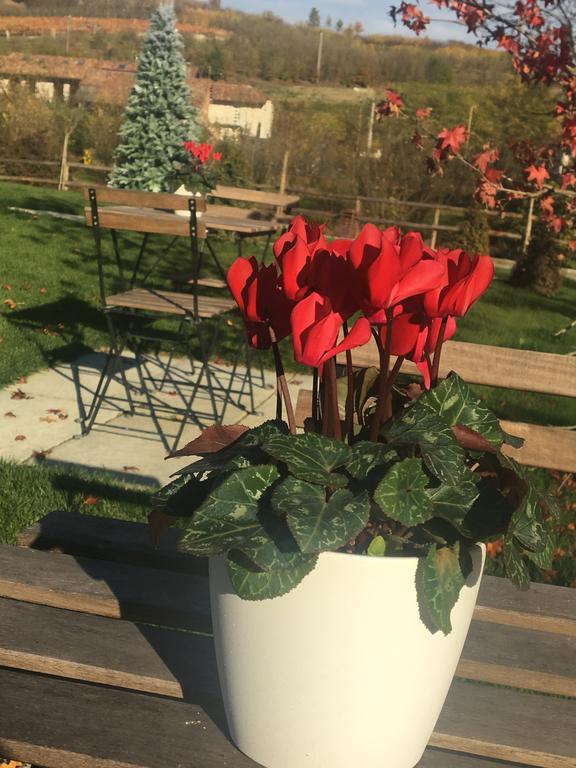 Agriturismo da Mamma Alba  Bagian luar foto